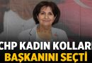 Afyonkarahisar CHP Kadın Kolları Başkanını Seçti: İşte sonuç! – Siyaset