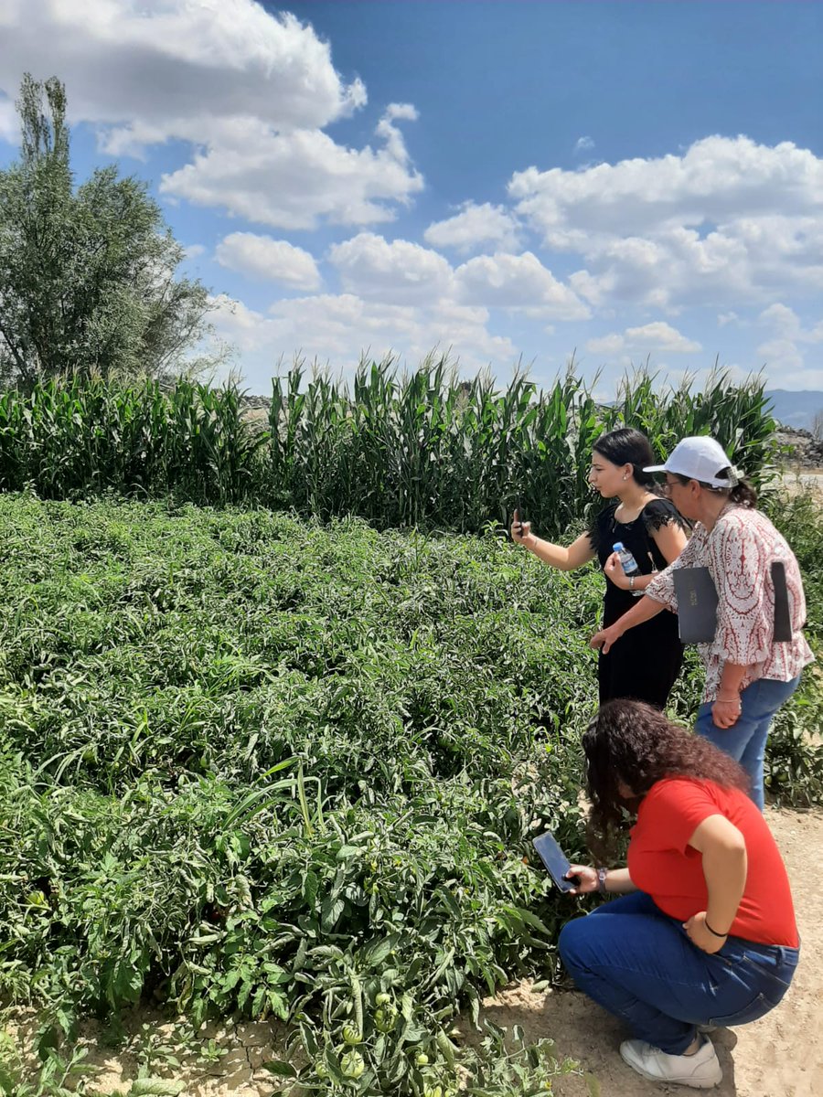 Afyonkarahisar İl Tarım ve Orman Müdürlüğü Gençleri Tarımda Eğitiyor