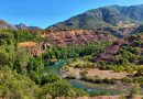 Tunceli’de Suriyeli gerilemesi: Sayı herkesi şaşırttı! – Bölge