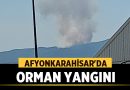 Afyonkarahisar’da Orman Yangını! – Asayiş