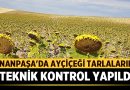 Sinanpaşa’da Ayçiçeği Tarlalarına Teknik Kontrol Gerçekleştirildi – Belediyeler