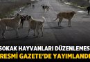 Sokak Hayvanları İçin Yeni Düzenleme: Artık Her Şey Değişiyor! – Gündem