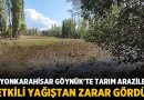 Afyonkarahisar Göynük’te Tarım Arazileri Etkili Yağıştan Zarar Gördü – Afyon Haber