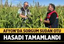 Afyonkarahisar’da Süt Verimini Uçuran Yem: Sorgum Sudan Otu Hasadı Tamamlandı – Afyon Haber