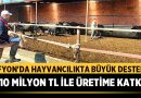 Afyonkarahisar’da Hayvancılıkta Büyük Destek: 10 Milyon TL ile Üretime Katkı – Afyon Haber