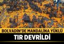 Bolvadin’de Mandalina Yüklü Tır Devrildi – Afyon Haber