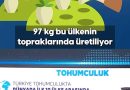 Toprakla Buluşan Yabani Tohumlar Geleceğe Umut Oluyor – Afyon Haber