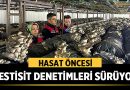 Afyonkarahisar’da Hasat Öncesi Pestisit Denetimleri Sürüyor – Afyon Haber