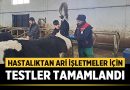 Sinanpaşa’da Hastalıktan Ari İşletmeler İçin Testler Tamamlandı – Afyon Haber