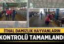 Afyonkarahisar’da İthal Damızlık Hayvanların Kontrolü Tamamlandı – Afyon Haber