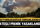 Afyonkarahisar Ormanlarında Ateşli Piknik Yasaklandı – Afyon Haber