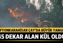 Afyonkarahisar Çay’da Büyük Yangın: 45 Dekar Alan Kül Oldu – Afyon Haber
