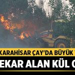Afyonkarahisar Çay’da Büyük Yangın: 45 Dekar Alan Kül Oldu – Afyon Haber