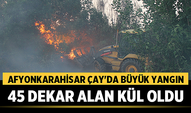 Afyonkarahisar Çay’da Büyük Yangın: 45 Dekar Alan Kül Oldu – Afyon Haber