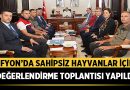 Afyonkarahisar’da Sahipsiz Hayvanlar İçin Değerlendirme Toplantısı Yapıldı – Afyon Haber