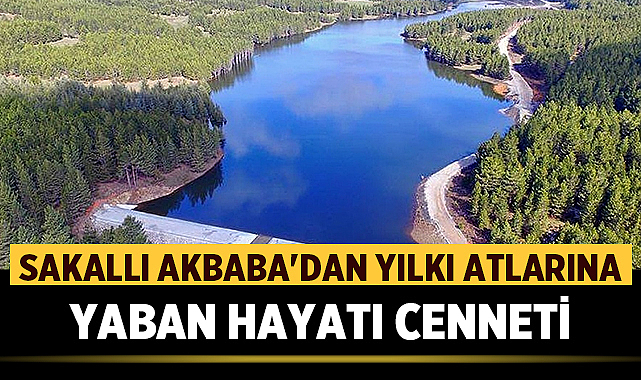 Akdağ Tabiat Parkı: Sakallı Akbaba’dan Yılkı Atlarına Yaban Hayatı Cenneti – Afyon Haber