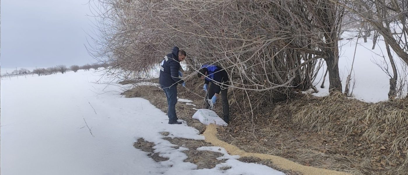 Van Büyükşehir Belediyesi’nden yaban hayatına yem desteği