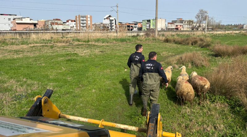 Manisa'da selden mahsur kalan 44 vatandaş tahliye edildi
