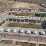 Şanlıurfa’da sahipsiz hayvanların toplanmasında hedefe ulaşıldı