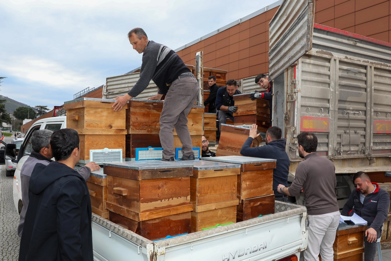 Bursa’da arıcılık Büyükşehir’le canlandı