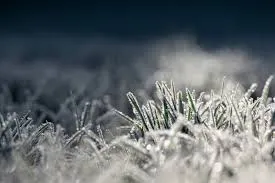 Meteoroloji’den zirai don ve çığ uyarısı