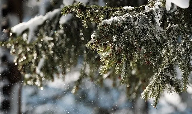 Ordu’da 2 Mart Pazartesi Okul Var mı? Valilik’dan dikkat çeken mesaj