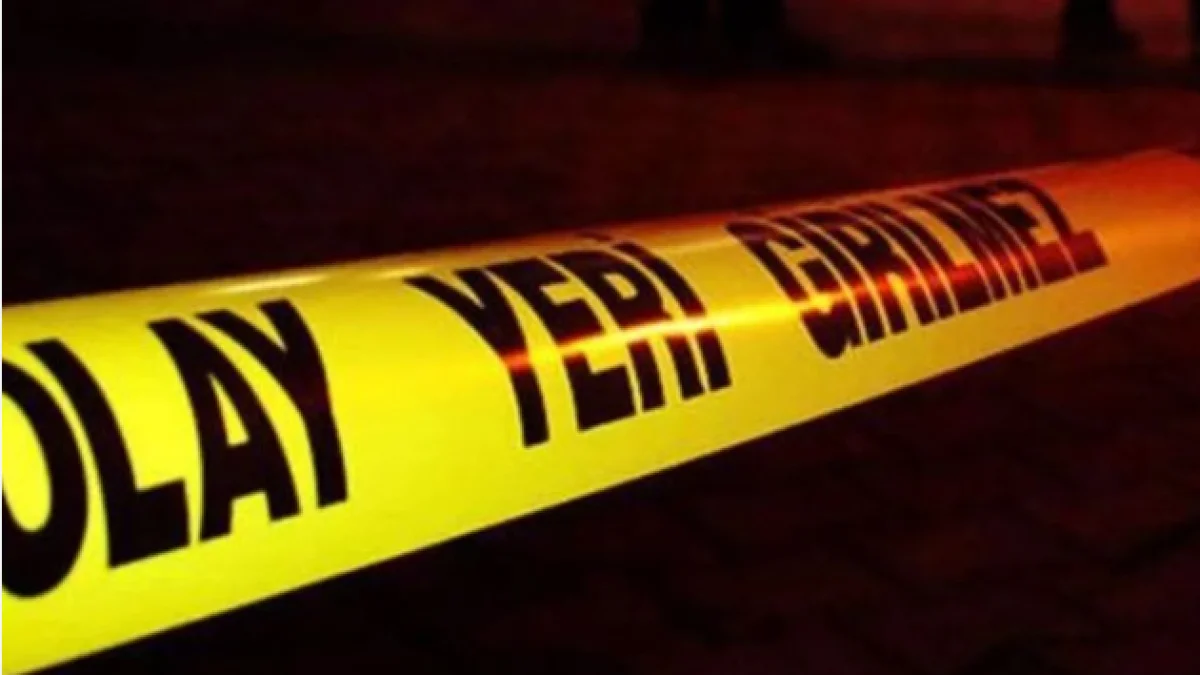 Seydiler’de İki Otomobil Çarpıştı, 8 Kişi Yaralandı